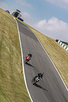 Middle Group Black Bikes